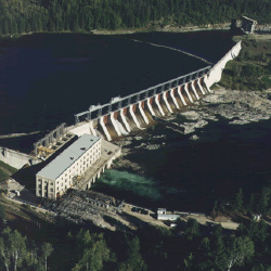 18-150.16_Web_Redesign_AboutUs_CorraLInn_Dams_250x250 18-150.16_Web_Redesign_AboutUs_CorraLInn_Dams_250x250