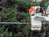 17-013.46_Vegetation_Management_Blog_InlineImage